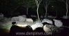 Đèn pha led outdoor W807 - anh 9 Đèn pha led outdoor W807 - anh 9