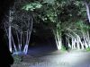 Đèn pin Convoy C8 led Cree XM-L2 siêu sáng - anh 8 Đèn pin Convoy C8 led Cree XM-L2 siêu sáng - anh 8