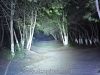 Đèn pin Convoy C8 led Cree XM-L2 siêu sáng - anh 9
